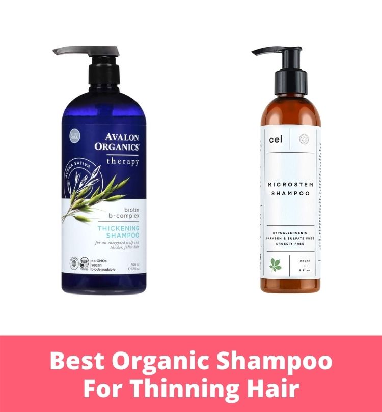 Best Organic Shampoo For Thinning Hair