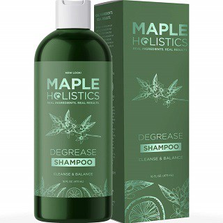 Maple Holistics Best Shampoo for Oily Hair Care