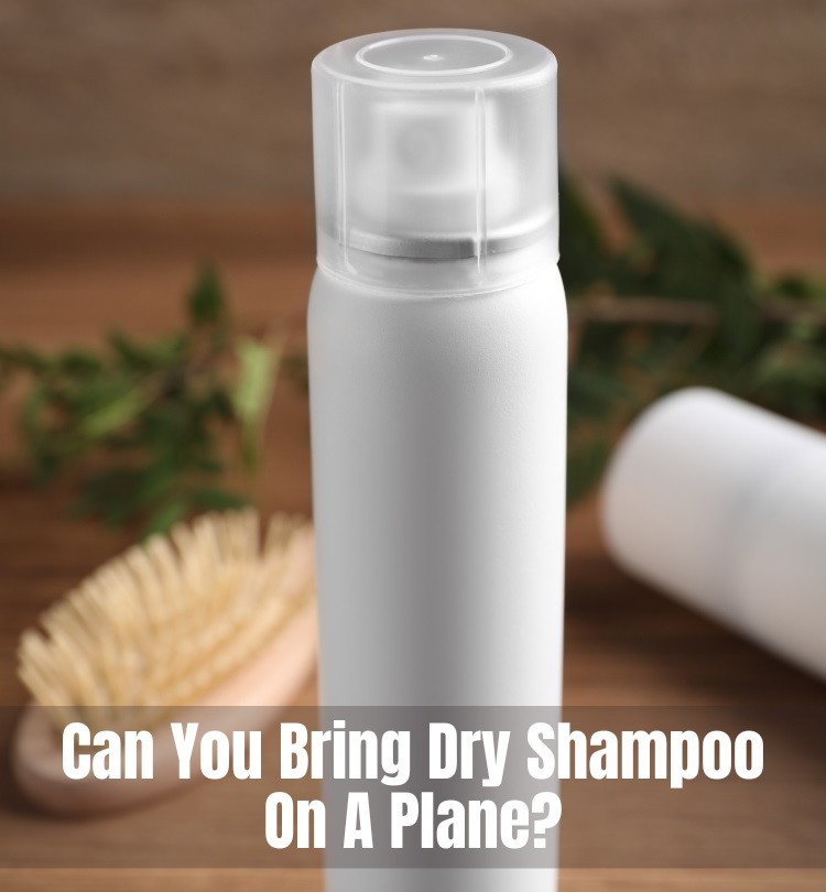Can You Bring Dry Shampoo On A Plane