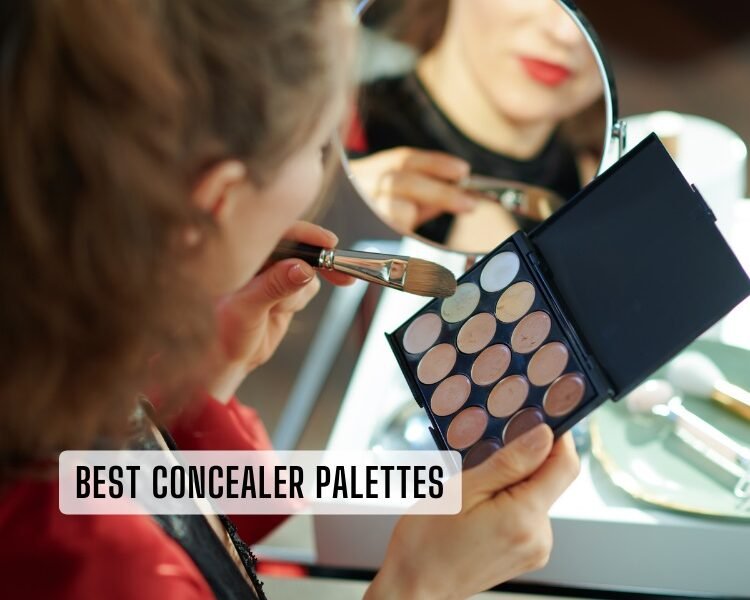 best concealer palettes