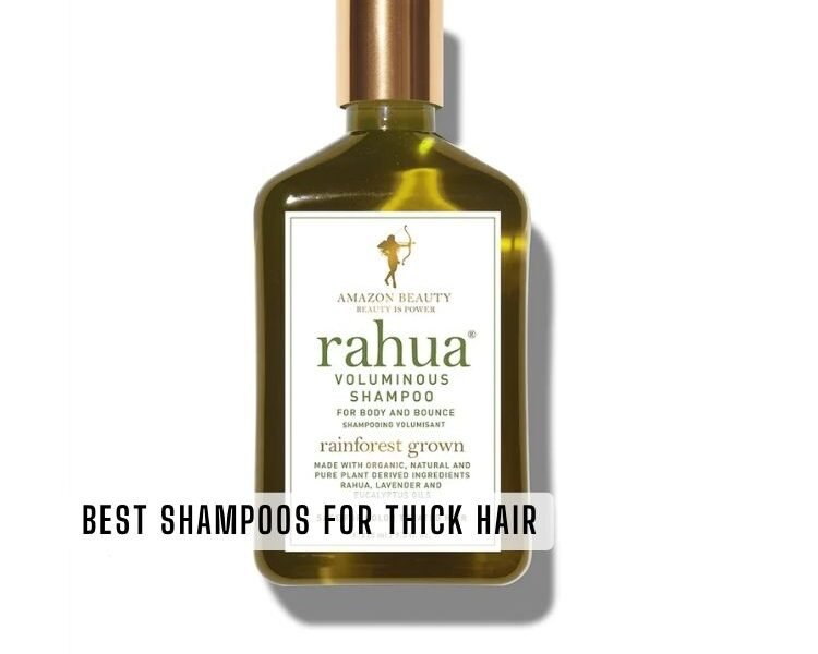 best shampoos for thick hair